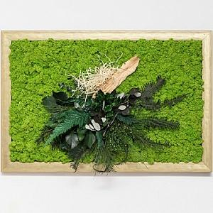 Tablouri cu licheni si plante stabilizate - Tablou ESHOWE