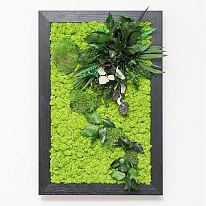 Tablouri cu licheni si plante stabilizate - Tablou GHANA