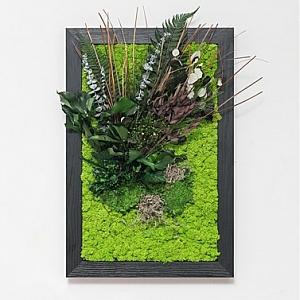 Tablouri cu licheni si plante stabilizate - Tablou HARARE