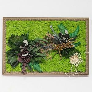 Tablouri cu licheni si plante stabilizate - Tablou KLAWER