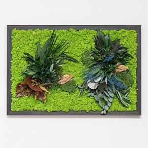 Tablouri cu licheni si plante stabilizate - Tablou KOMATI