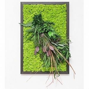Tablouri cu licheni si plante stabilizate - Tablou KRYSNA