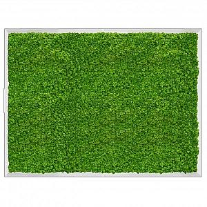 De interior - Tablou licheni 80 x 60 cm, ramă albă