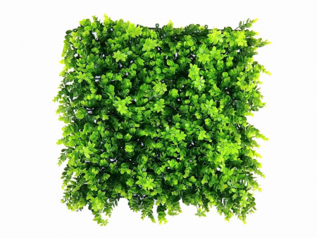Panouri verzi artificiale - Vegetație de buxus
