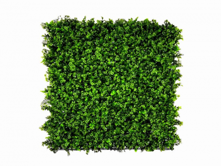 Panouri verzi artificiale - Vegetație de ferigi și trifoi