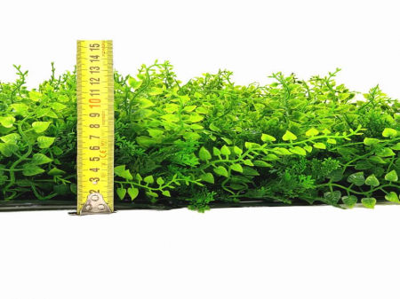 Vegetație moringa – rezistență la foc clasa C [2]