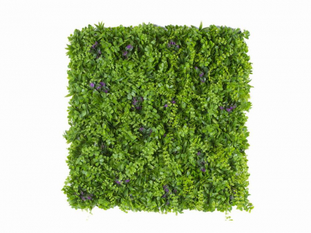 Panouri verzi artificiale - Vegetație Pennywort