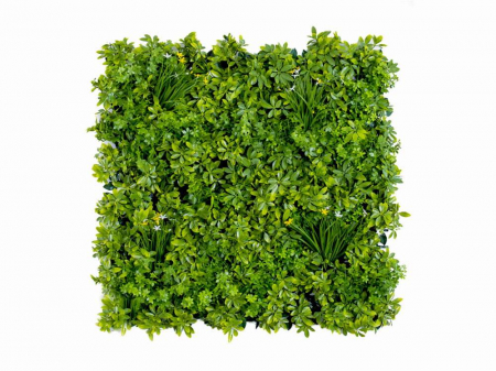 Panouri verzi artificiale - Vegetatie schefflera