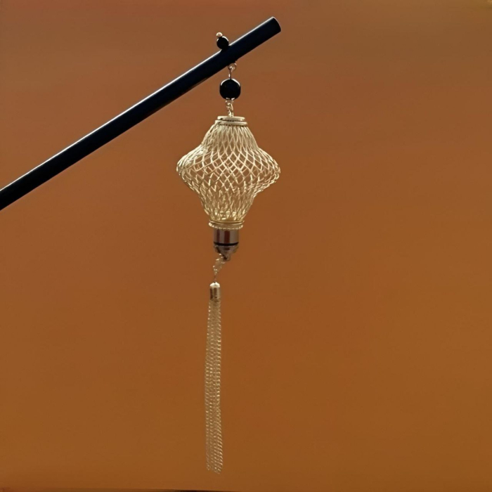 Ac de par in stil chinezesc [2]