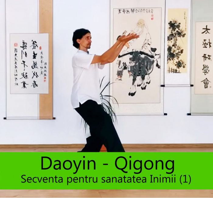 Curs Online Daoyin – Qigong “Secventa pentru santatea Inimii si a Intestinului Subtire (1)” [1]
