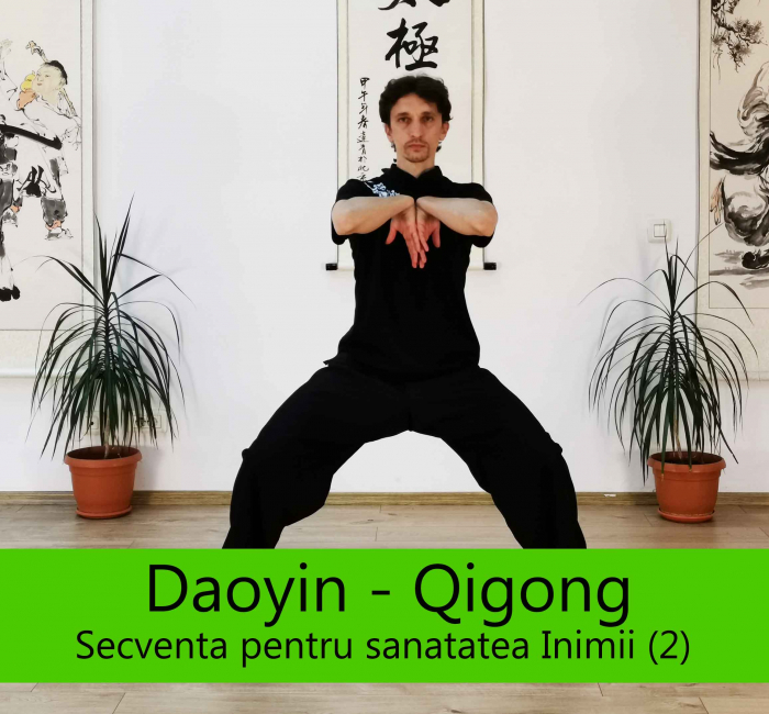 Curs Online Daoyin – Qigong “Secventa pentru santatea Inimii si a Intestinului Subtire (2)” [1]