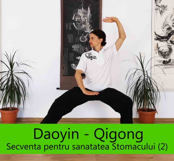 Curs Online Daoyin – Qigong “Secventa pentru santatea Stomacului, Splinei si Pancreasului (2)” [1]