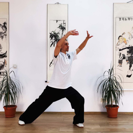 Lectii online inregistrate - Abonament Daoyin Qigong - 8 lectii online (1h) inregistrate