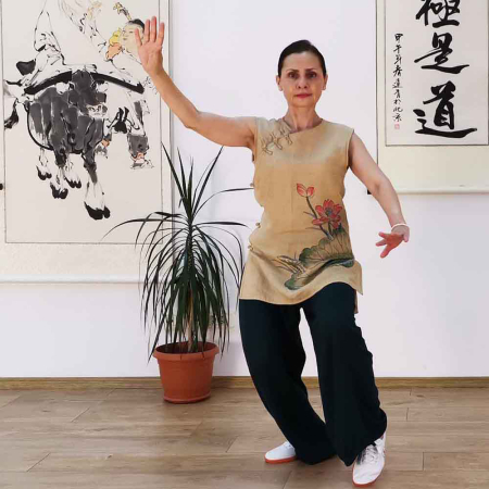Lectii online inregistrate - Abonament Tai Chi - 4 lectii online inregistrate