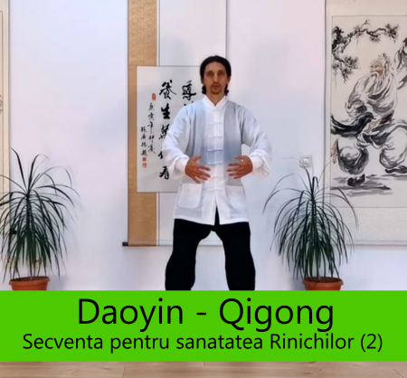 CURSURI ONLINE - Curs Online Daoyin – Qigong “Secventa pentru sanatatea Rinichilor si a Vezicii Urinare (2)”