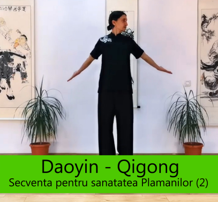 Curs Online Daoyin-Qigong - Curs Online Daoyin – Qigong “Secventa pentru santatea Plamanilor si a Intestinului Gros (2)”