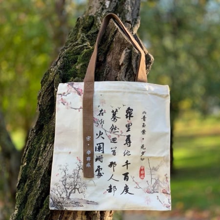 Bijuterii si accesorii - Geanta