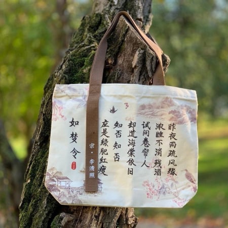 Bijuterii si accesorii - Geanta