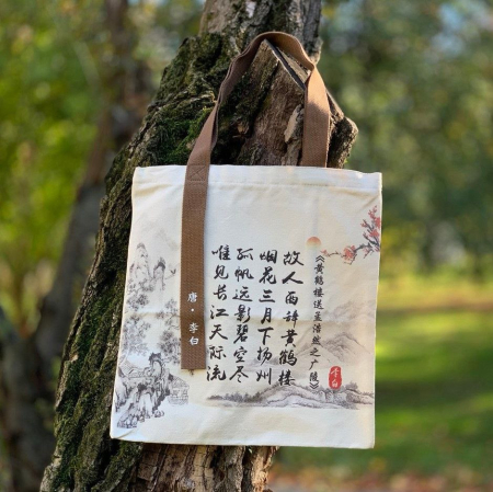 Bijuterii si accesorii - Geanta