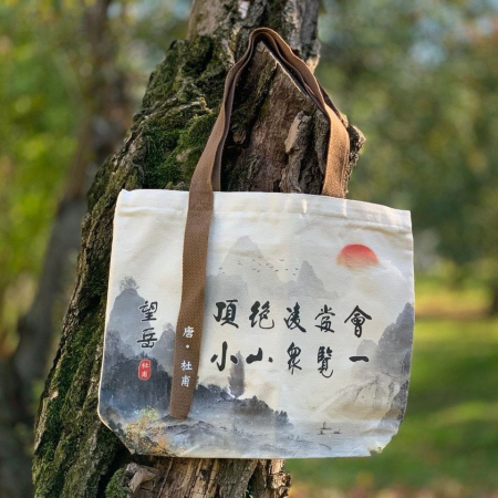 Bijuterii si accesorii - Geanta