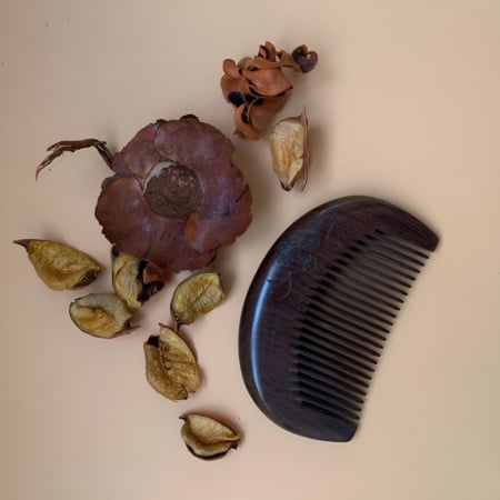 Bijuterii si accesorii - Pieptane de par in stil chinezesc din lemn de abanos