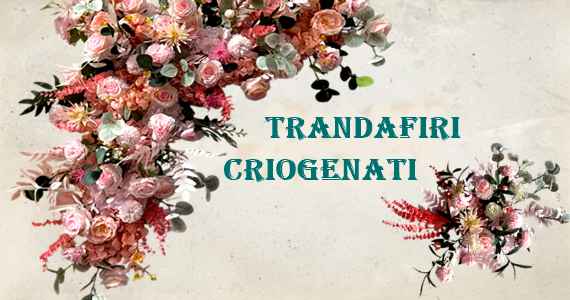 Trandafiri_Criogenati