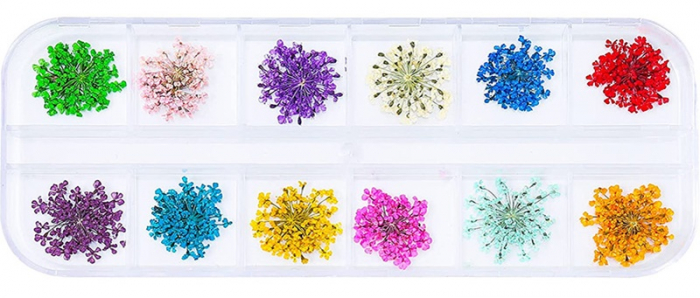 Flori uscate decorative - 12buc [1]