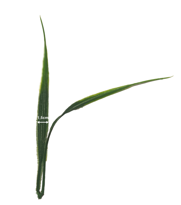 Iarba artificiala acvatica, din plastic - Tulpina cu 7 ramuri, L 45cm [2]