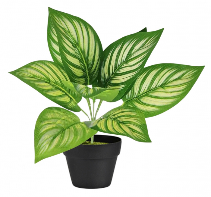 Planta Artificiala Decorativa, h 33cm - Calathea Green [1]