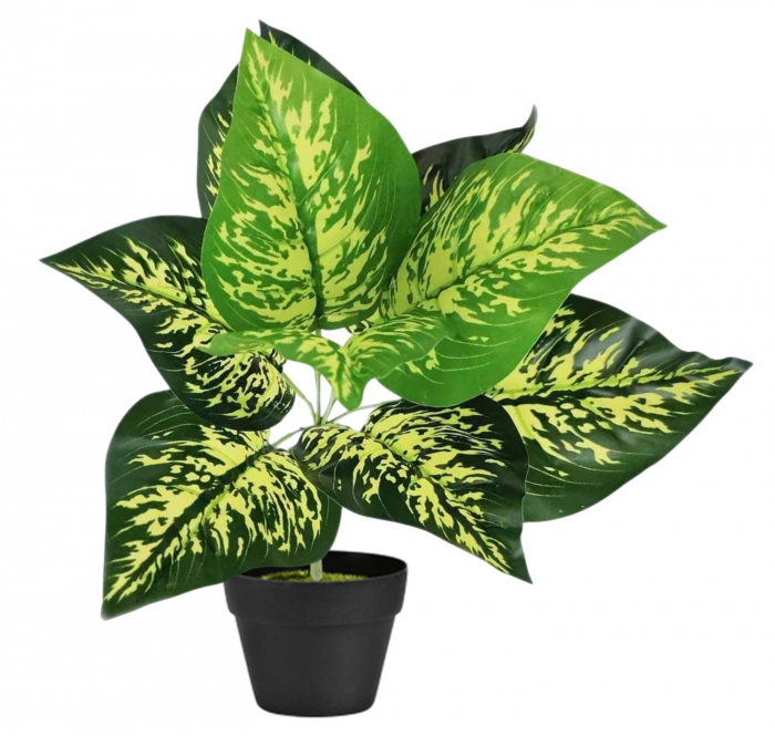 Planta Artificiala Decorativa, h 33cm - Dieffenbachia "Tropic Snow" [1]