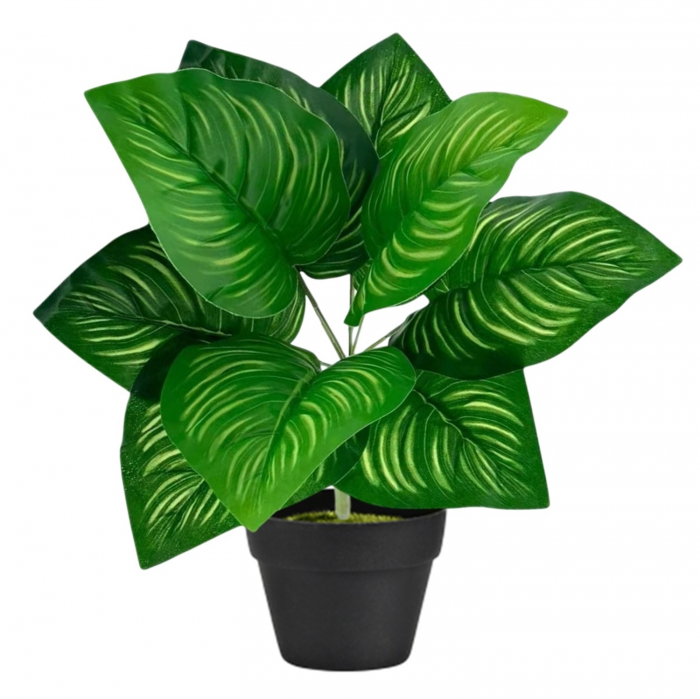 Planta Artificiala Decorativa, h 33cm - Watermelon Peperomia [1]