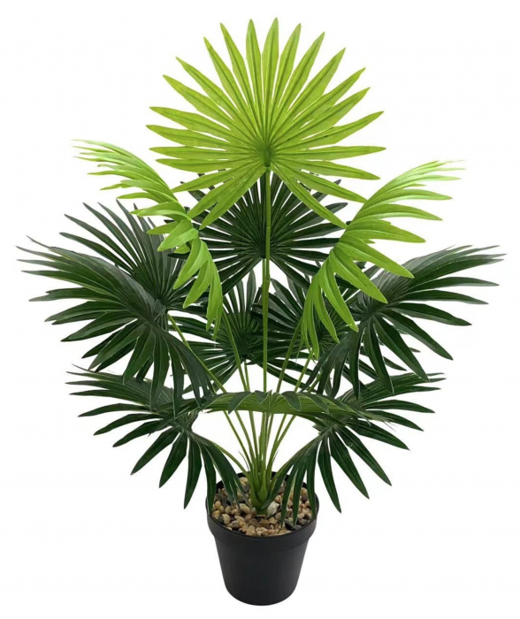 Planta Artificiala - Tropical Tung Palm, h 60cm [1]