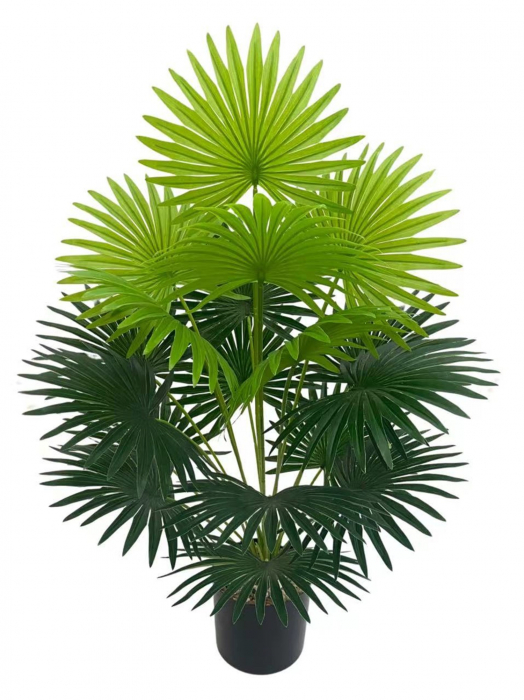 Planta Artificiala - Tropical Tung Palm, h 72cm [1]