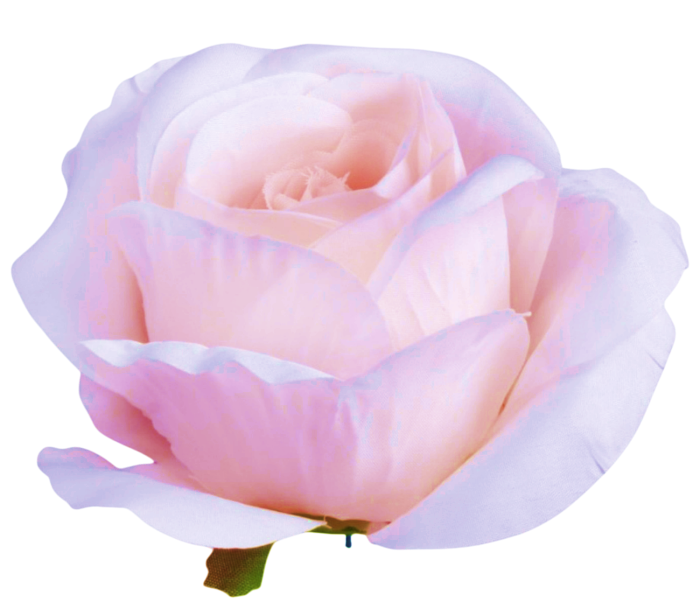 Trandafir din matase, Cap ⌀ 8cm - SET 12buc [1]