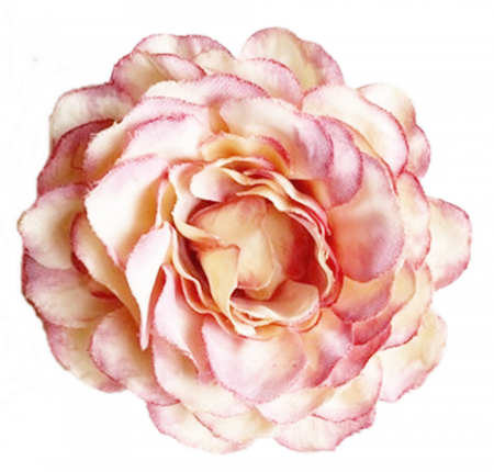 img-attr