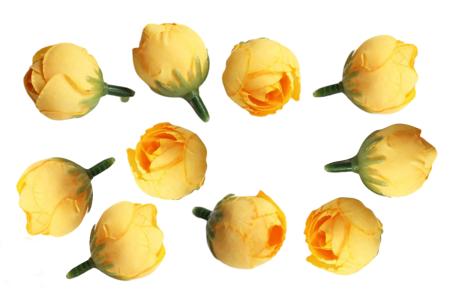 img-attr