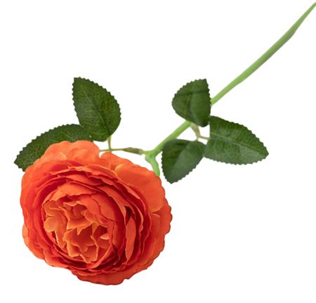 img-attr