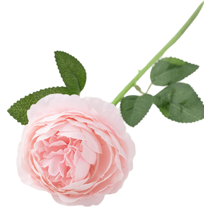 img-attr