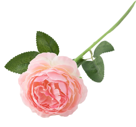 img-attr
