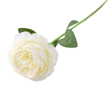 img-attr