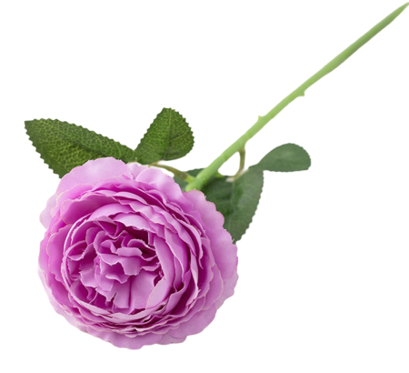 img-attr