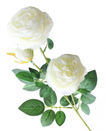 img-attr