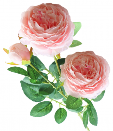 img-attr