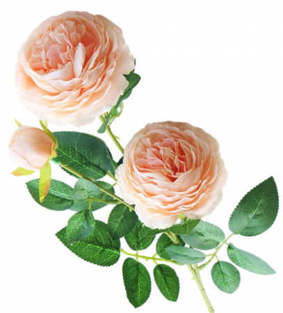 img-attr