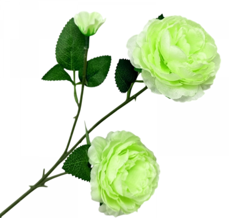 img-attr