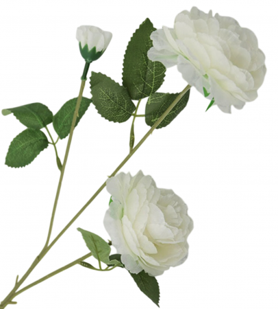 img-attr