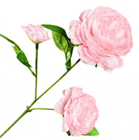 img-attr
