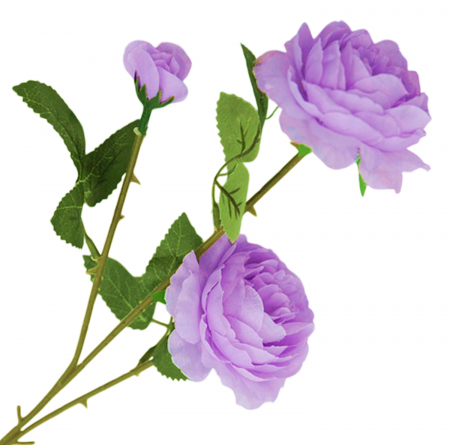 img-attr