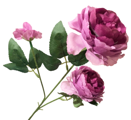 img-attr