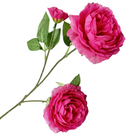 img-attr